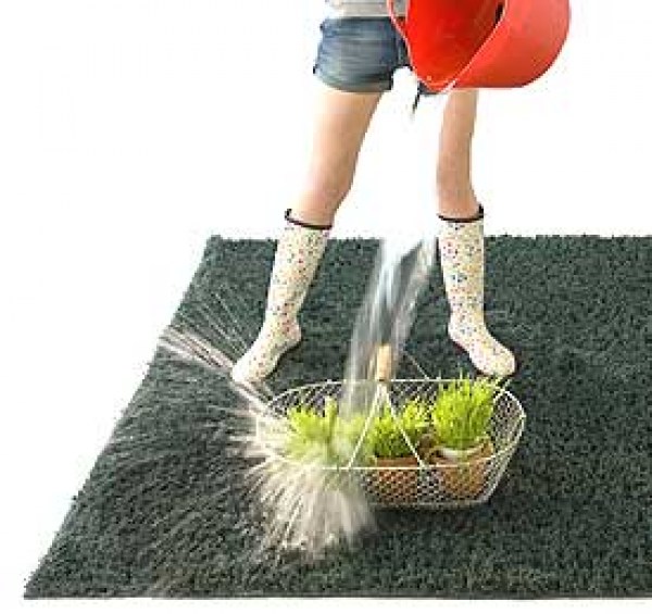 20110720162256017763_dolcecitynanimarquina