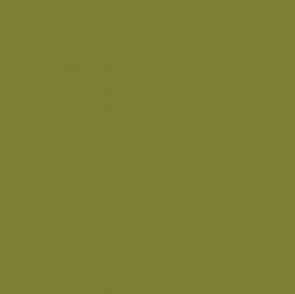Bonaldo Metal Pintado Verde.jpg