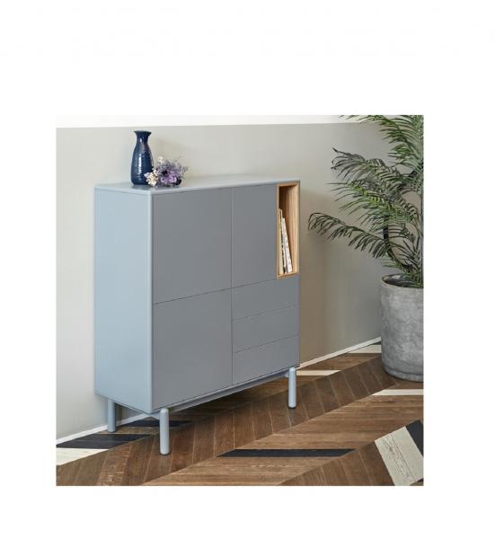 Corvo Auxiliar Teulat Ambiente 6