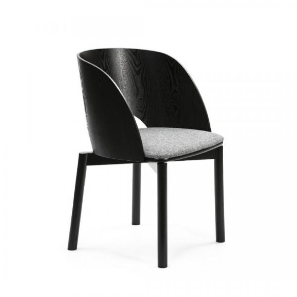 Dam_Silla_Negro_Teulat.jpg