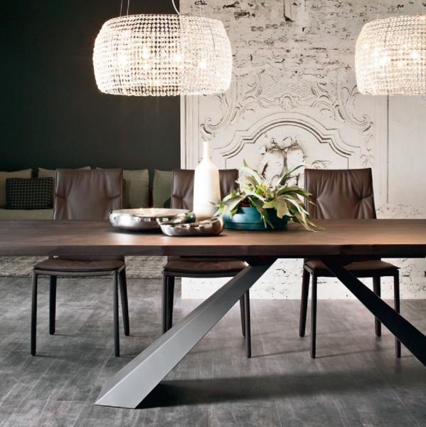 Eliot Cattelan Ambiente 5