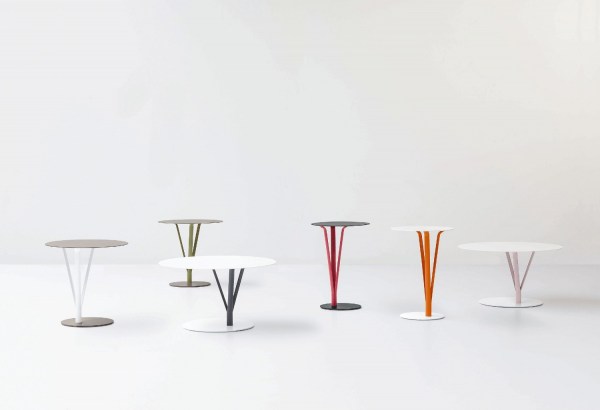 Kadou Coffee Ambiente 1