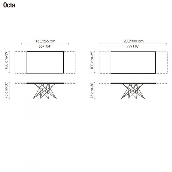 Octa Extensible Ficha Tecnica